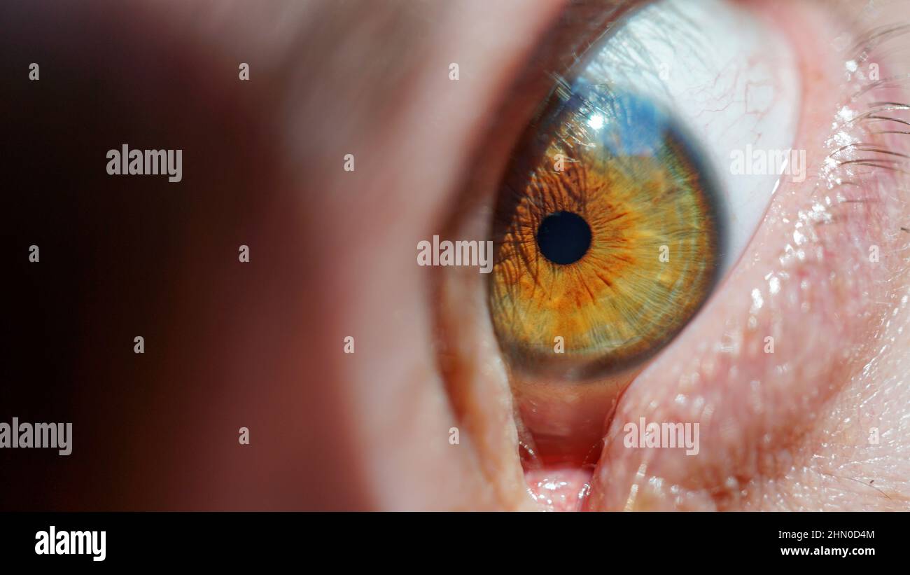 Dettaglio macro scatto di un occhio di nocciolo. Primo piano dell'occhio di un giovane uomo. Concetto di focalizzazione, concentrazione e assistenza sanitaria. Foto Stock