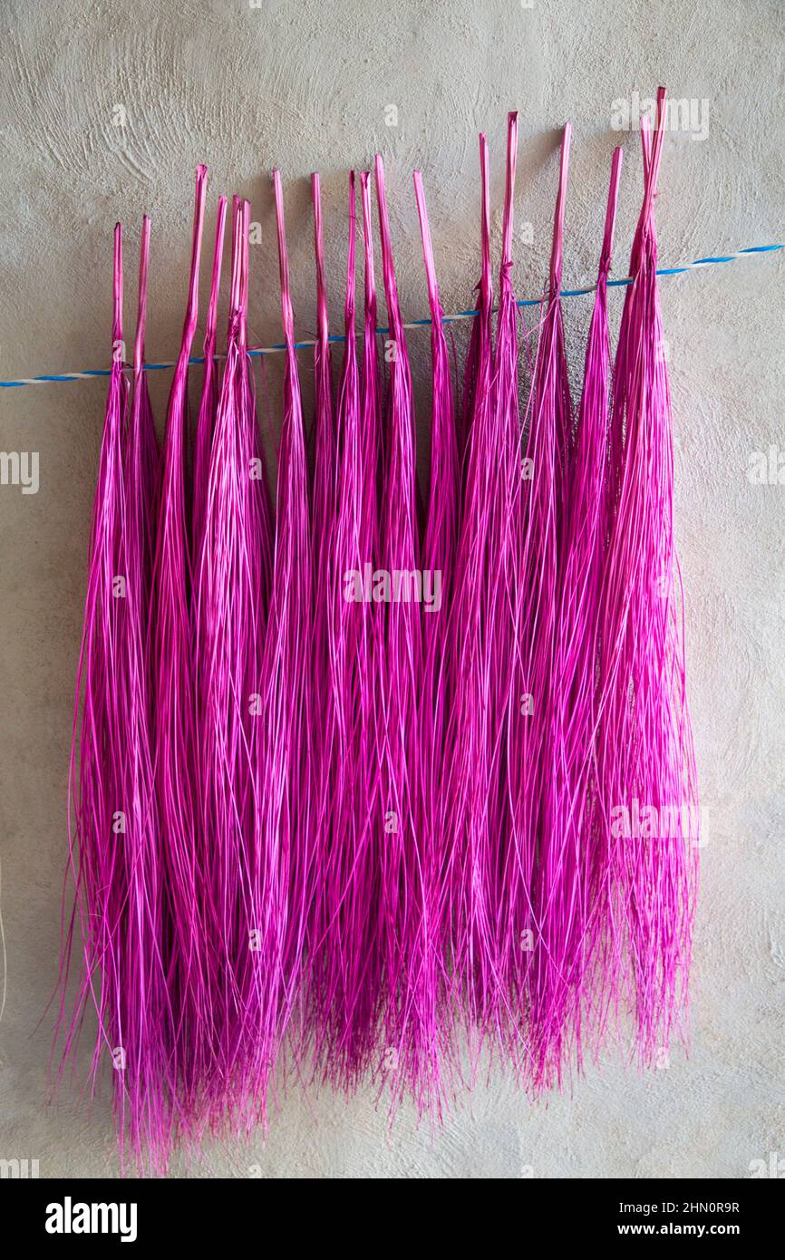 Lavorazione Jipi Palm per la produzione di cappelli, Becal, Stato di Campeche, Messico Foto Stock