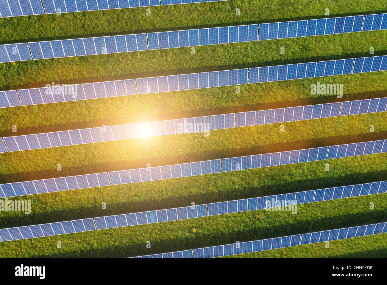 Pannello solare campo Foto Stock
