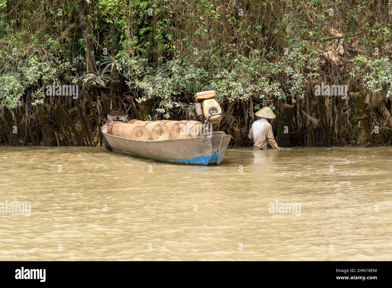 Un pescatore vietnamita getta trappole di pesce nel fiume Mekong, Delta del Mekong, provincia di Vinh Long, Vietnam meridionale, Asia sudorientale Foto Stock