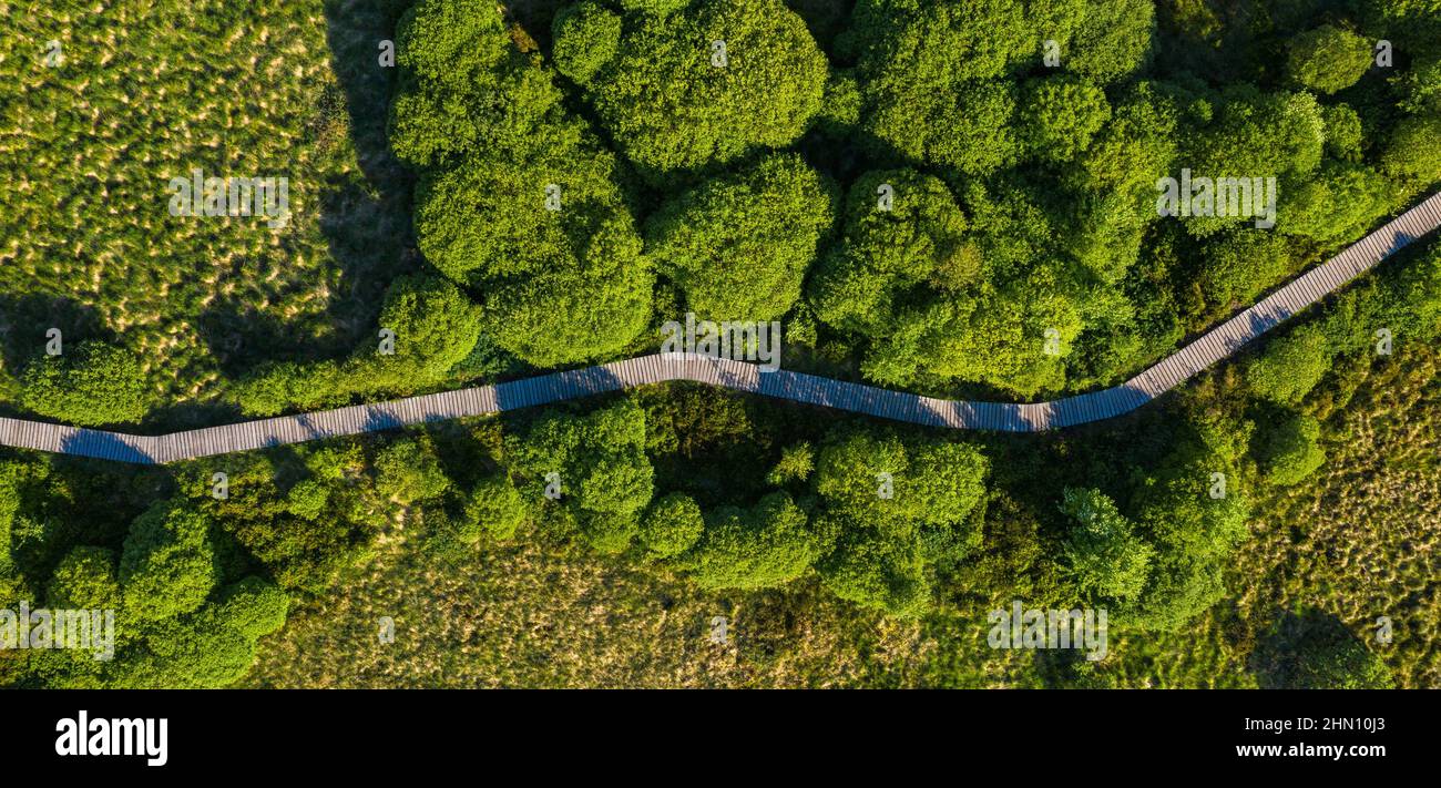 Passeggiata sul lungomare nella Hohes Venn al Parco Nazionale Eifel, Drone Shot Foto Stock