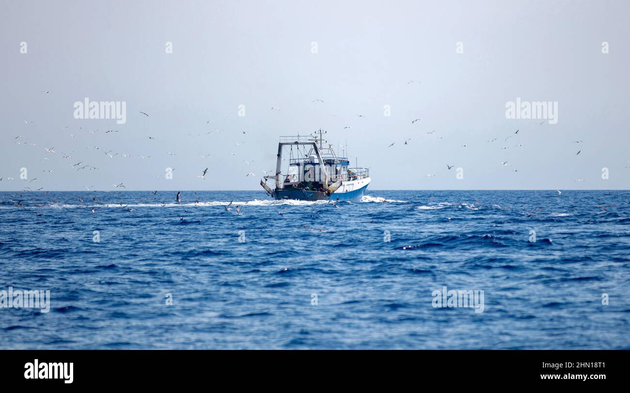 La barca da pesca naviga in mare ondulato Egeo. Seagull Swarm segue un peschereccio alla ricerca di cibo, cielo blu sfondo. CICLADI Grecia. Foto Stock