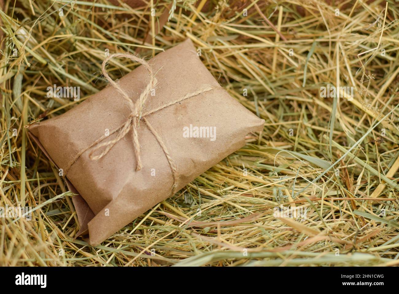 Prodotto ecologico. Concetto di cibo naturale ed ecologico. Confezione bio, ecologica. Prodotti naturali e biologici. Foto Stock
