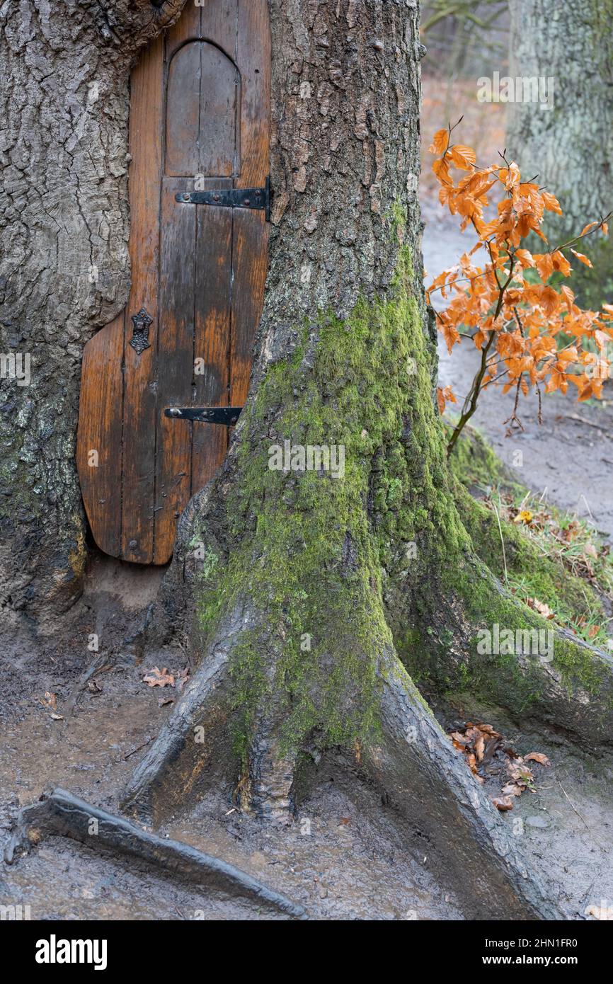 Porta fata. Arte pubblica al Plessey Woods Country Park, Northumberland, Regno Unito. Foto Stock
