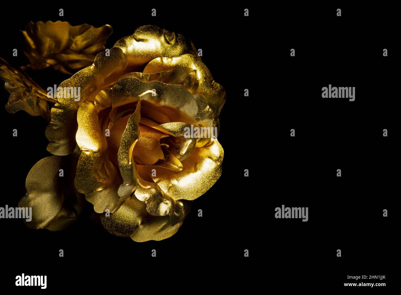 Rosa dorata su sfondo nero Foto Stock