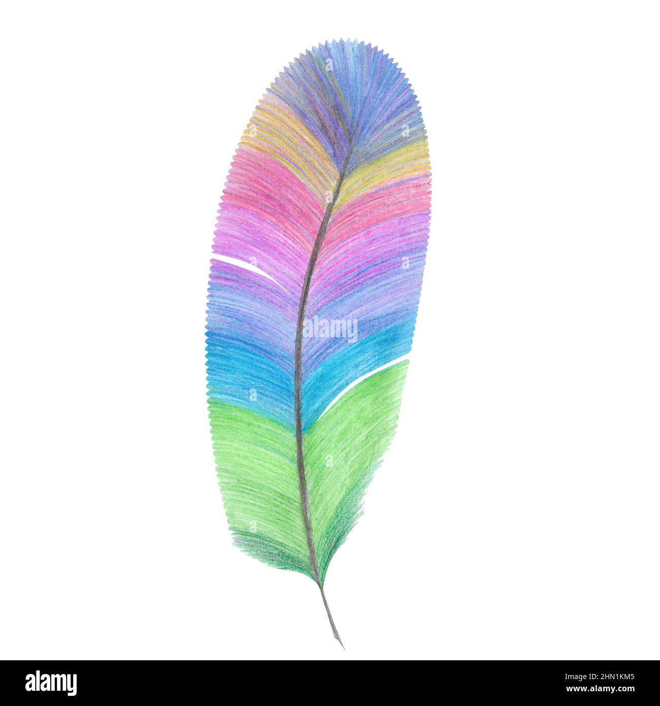 piuma con strisce colorate isolate su bianco Foto Stock