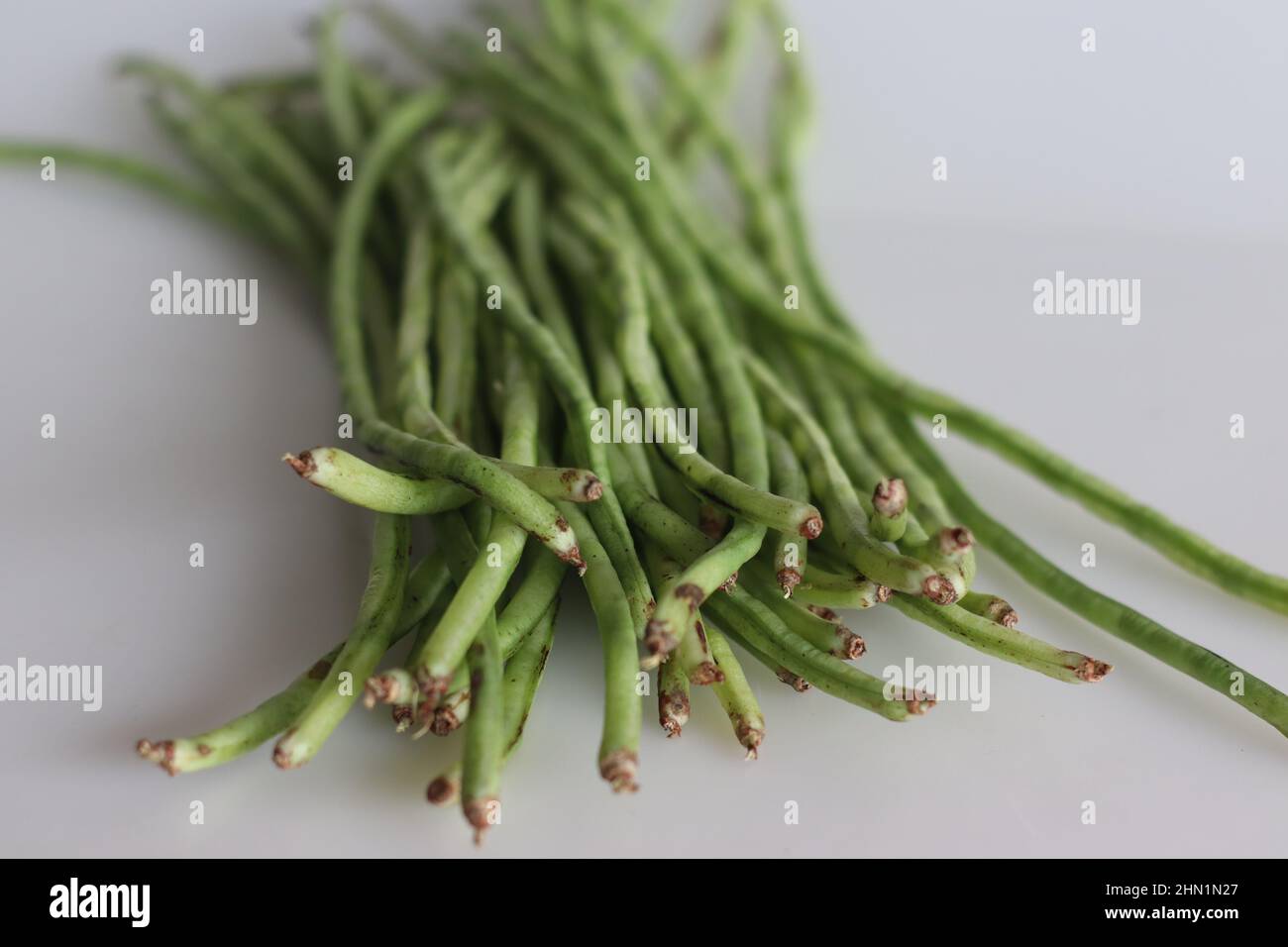 Mazzo di fagioli lunghi. È anche noto come il lungo cowpea podded, il fagiolo di asparagi, il fagiolo di serpente o il fagiolo lungo cinese. Scatto su sfondo bianco Foto Stock