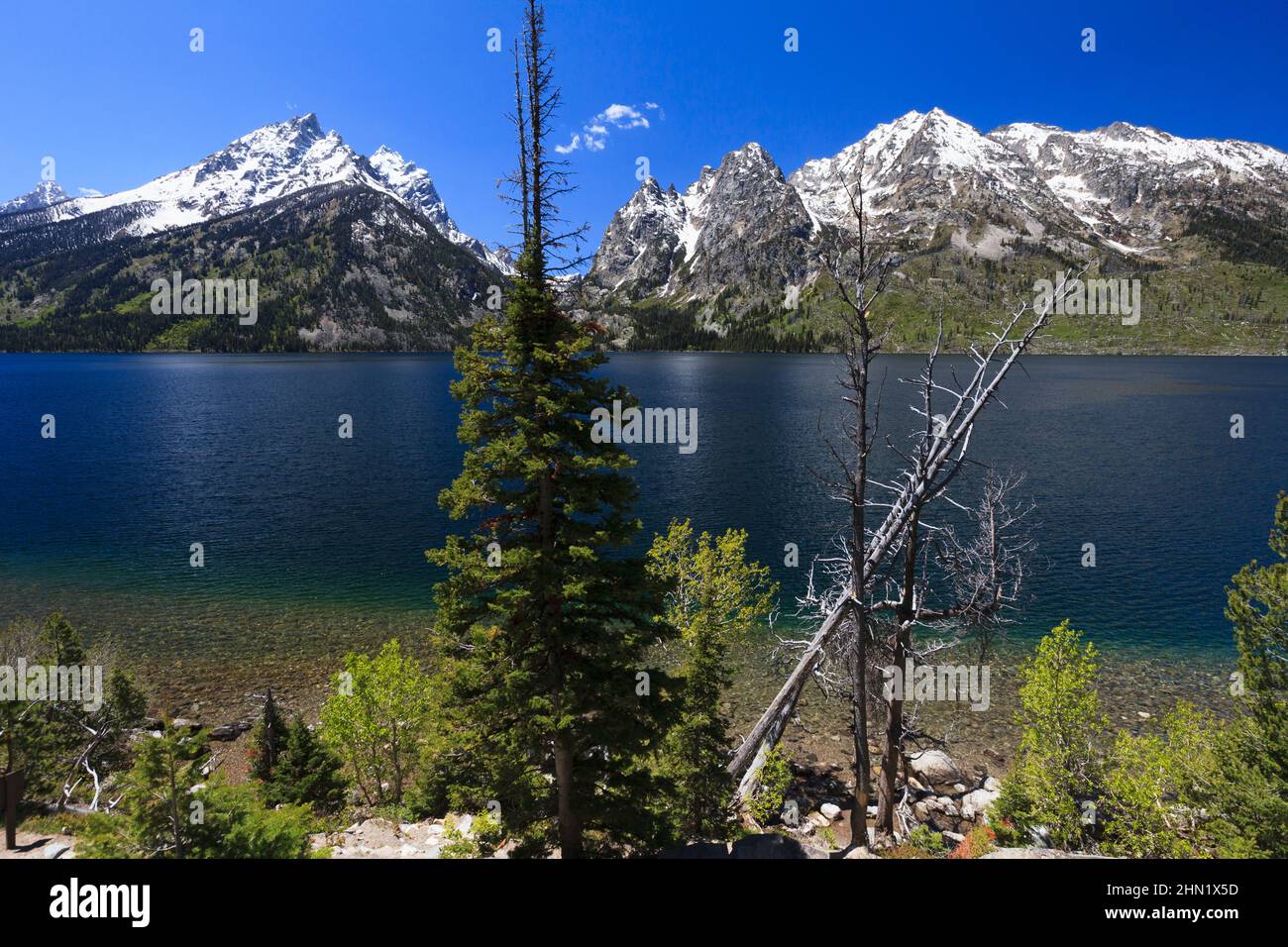 Il lago Jenny e la catena montuosa Grand Teton a giugno, il parco nazionale Grand Teton, Wyoming Foto Stock