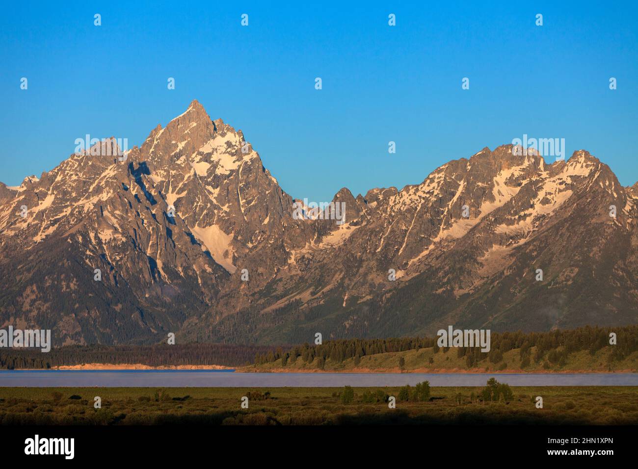 La luce del mattino presto sopra il lago Jackson e la catena montuosa Grand Teton, il parco nazionale Grand Teton NP, maggio, Wyoming, il parco nazionale Grand Teton, Stati Uniti Foto Stock