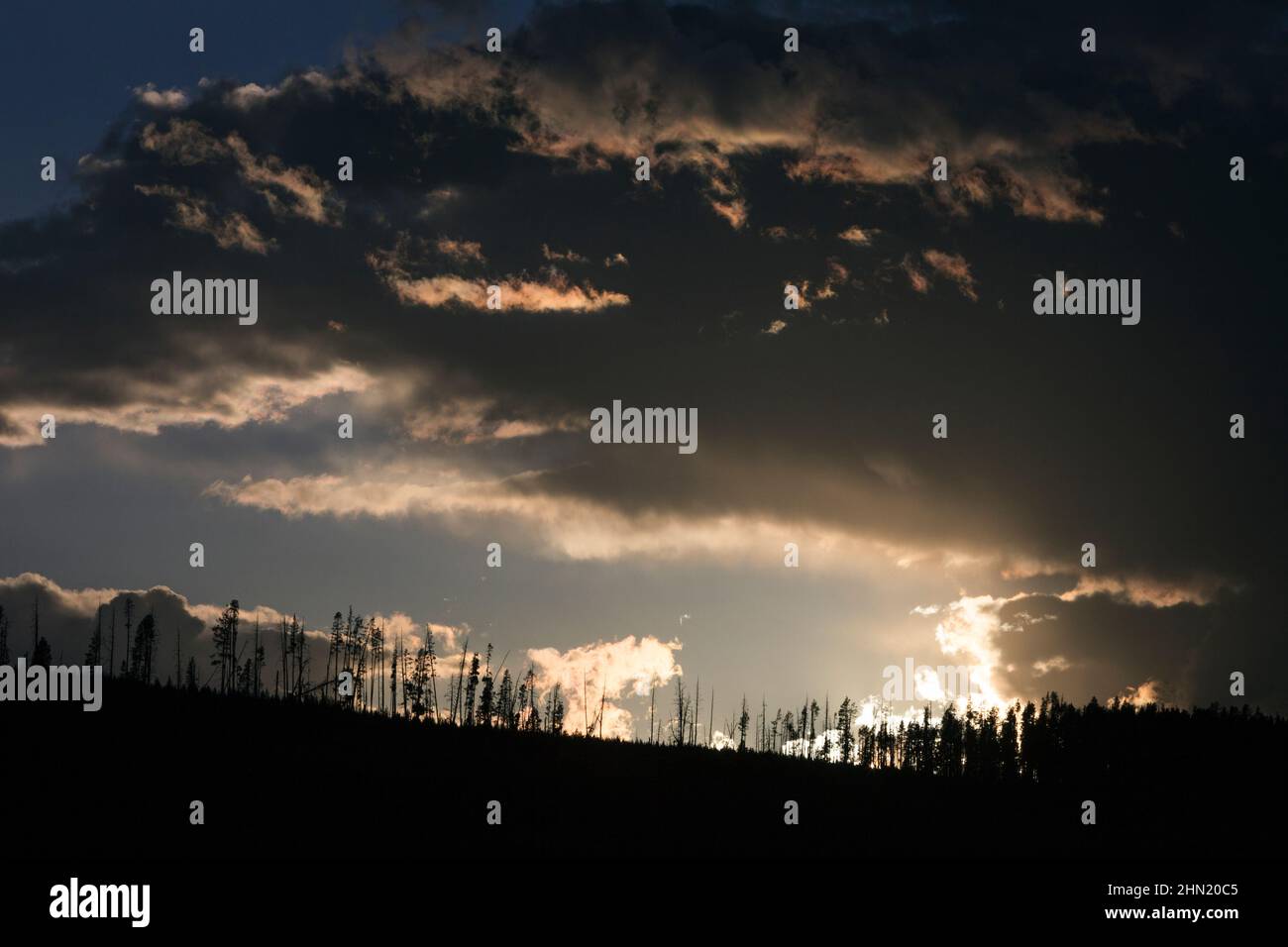 Temporale che recede al tramonto accanto ad Alum Creek in Hayden Valley, Yellowstone NP, Wyoming, USA Foto Stock