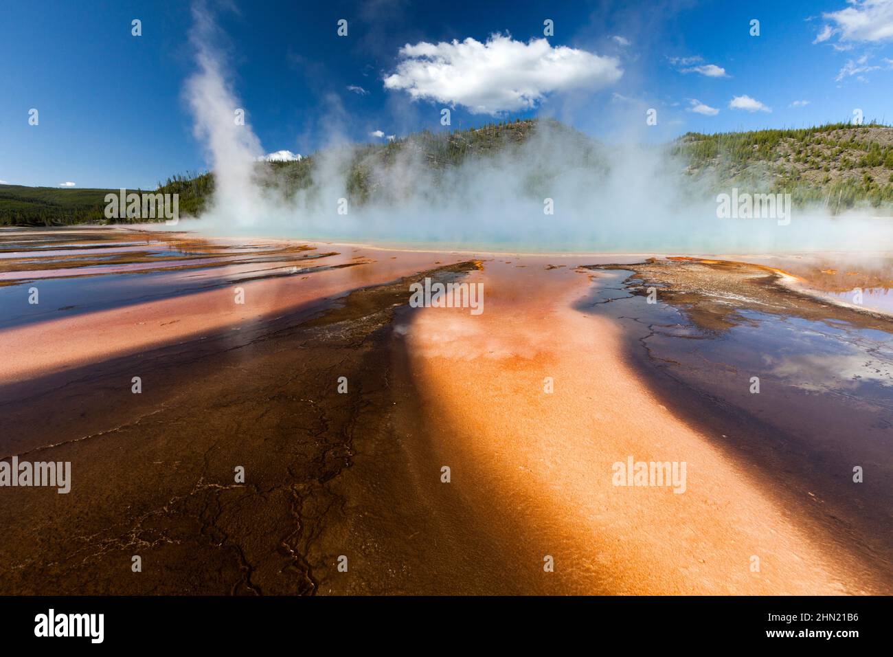 Tappetini batterici termofili e vapore provenienti da Grand Prismatic Spring, Midway Geyser Basin, Yellowstone NP, Wyoming, USA Foto Stock