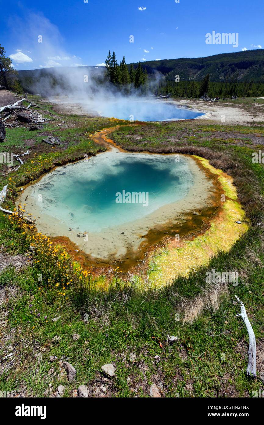 Pinto Spring con Gem Pool in background, Cascade Group, Upper Geyser Basin, Yellowstone NP, Wyoming, STATI UNITI Foto Stock