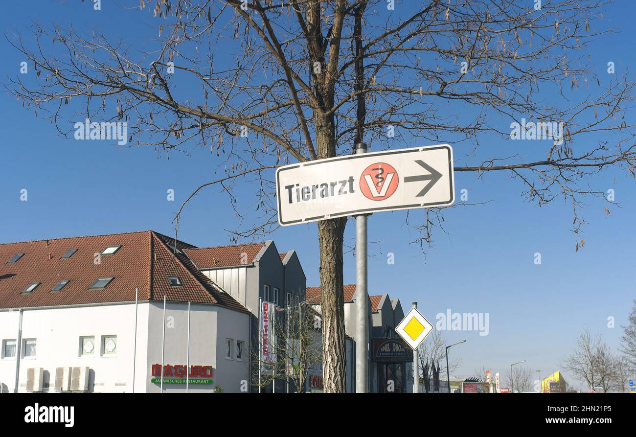 Segno che indica un chirurgo veterinario Foto Stock