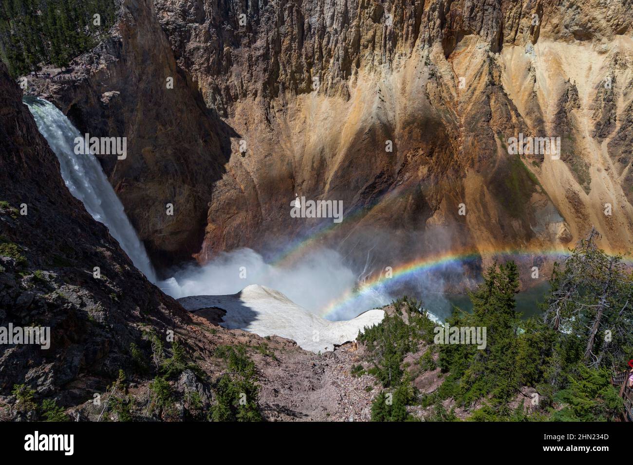 Rainbow at Lower Falls e Yellowstone Grand Canyon, Yellowstone NP, Wyoming, USA Foto Stock