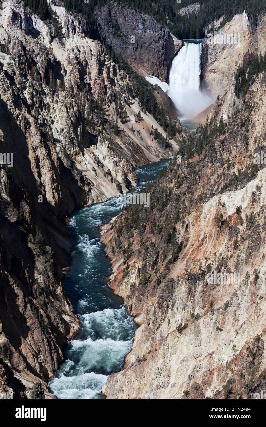 Lower Falls e Yellowstone Grand Canyon, Yellowstone NP, Wyoming Foto Stock