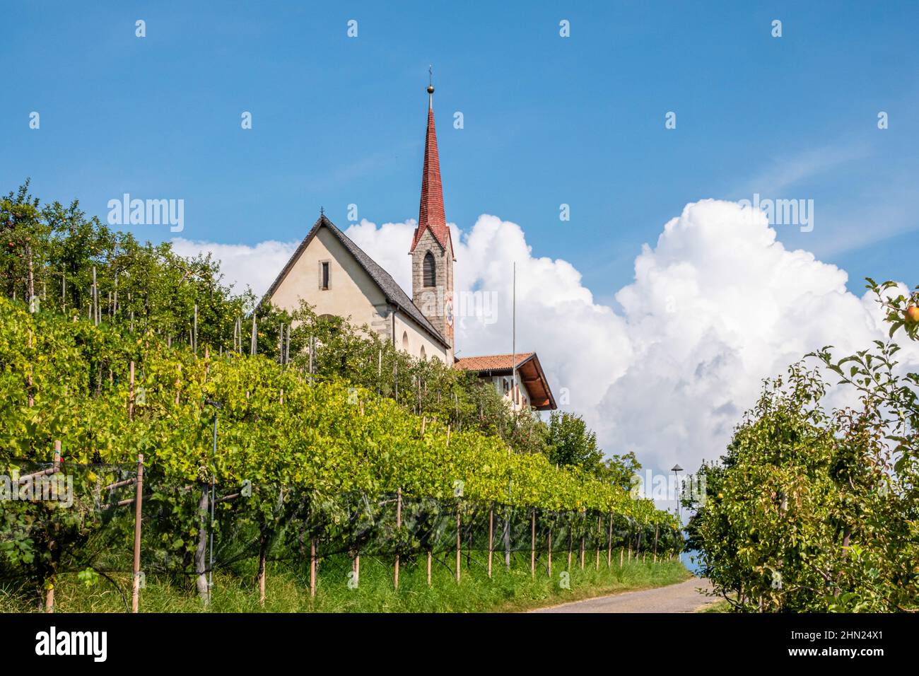 Dorfkirche mit Weinberg und Appellantage in Südtirol, in Italia, chiesa di paese con vigneto e piantageno di mele in Alto adige Foto Stock