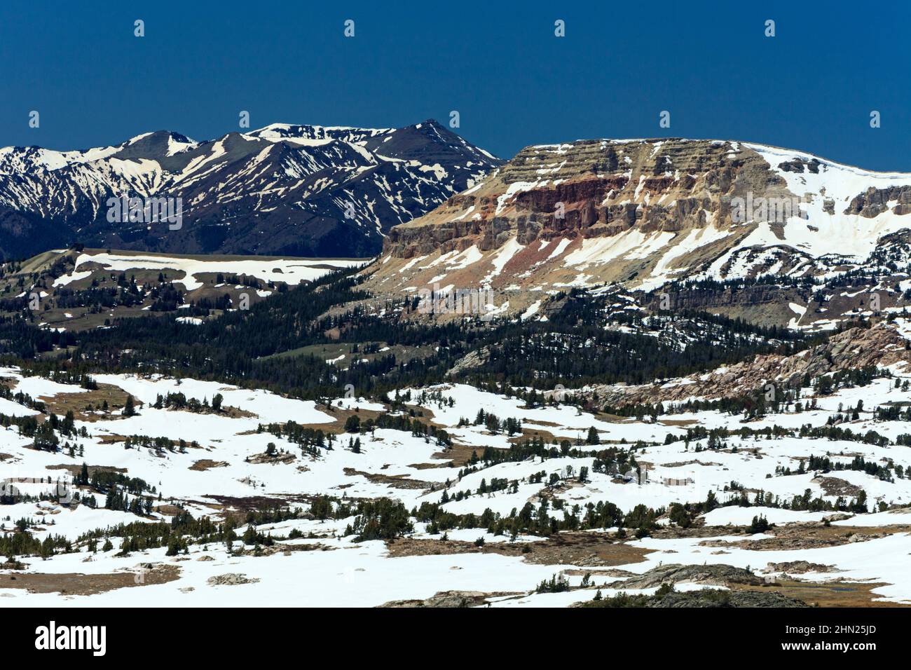 Beartooth Mountains, tratto da Beartooth Pass, Beartooth Highway, Montana, Stati Uniti Foto Stock