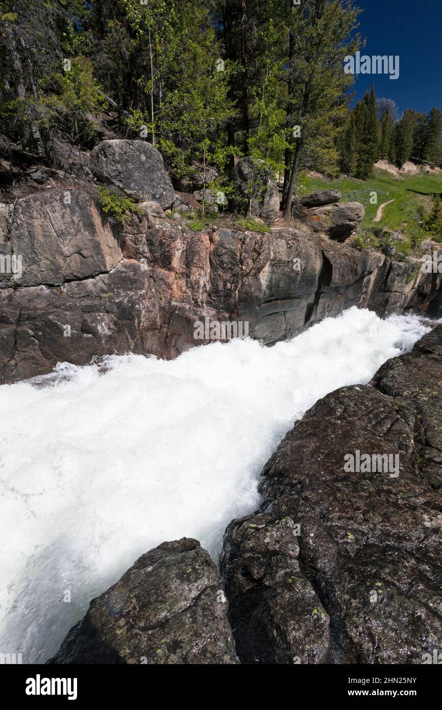 Cascate di Lake Creek, Beartooth Highway, Shoshone National Park, Montana, cascate, rapide, acque selvagge, Stati Uniti Foto Stock