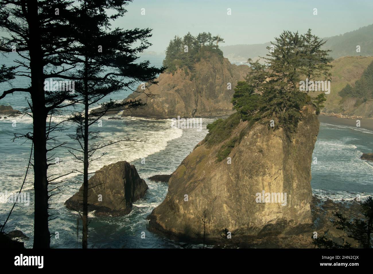 Sea Stacks, Samuel H. Boardman state Scenic Corridor, Oregon Foto Stock