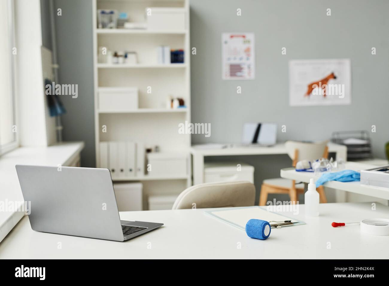 Posto di lavoro di veterinario con computer portatile, bottiglia di plastica, pipetta, bendaggio blu e documenti in cliniche veterinarie contemporanee Foto Stock