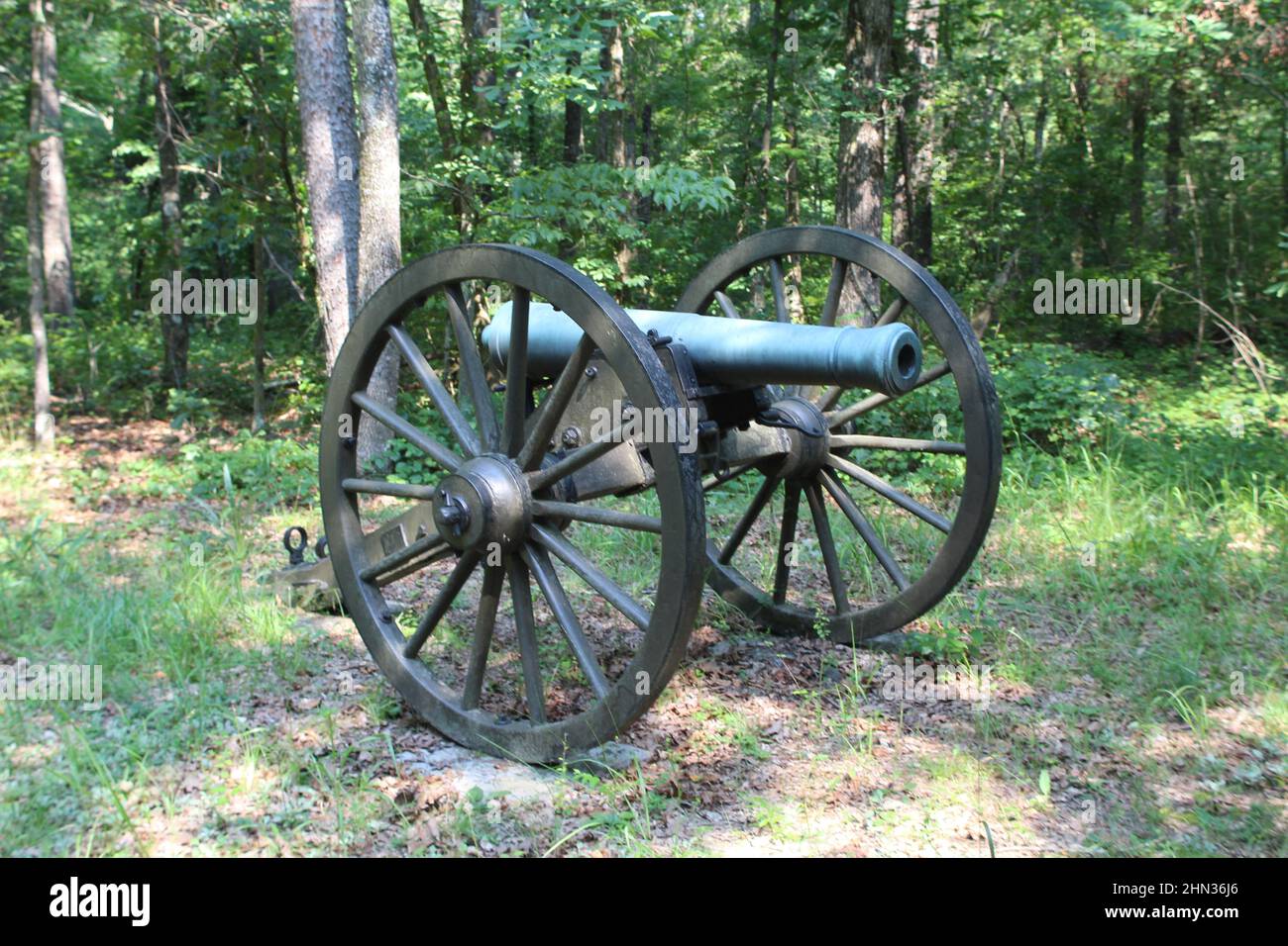 Cannone nei boschi presso il campo di battaglia di Chickamauga in Georgia Foto Stock