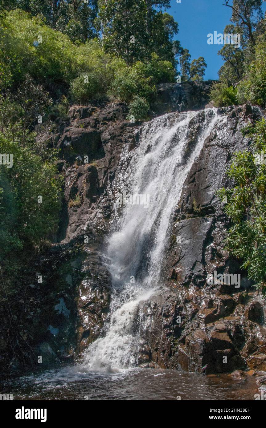 Le cascate Steavenson di 84 metri vicino a Marysville, Victoria, Australia Foto Stock