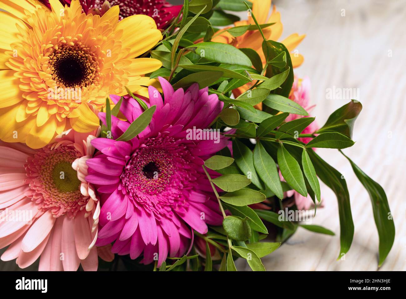 Primo piano di una splendida miscela di fiori di gerbera su sfondo bianco multicolore. Biglietto d'auguri con posto per l'iscrizione. Botanico Foto Stock