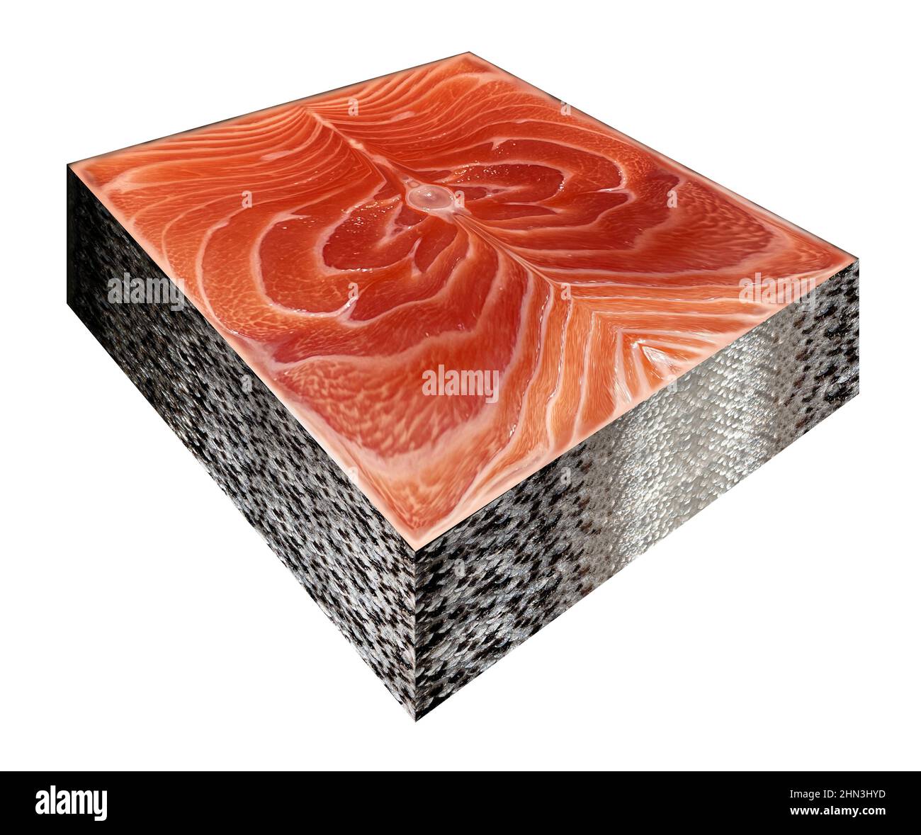 Simbolo degli alimenti trasformati e alimenti geneticamente modificati o pesce OGM come bistecca di salmone dell'Atlantico a forma di cubo sintetico. Foto Stock