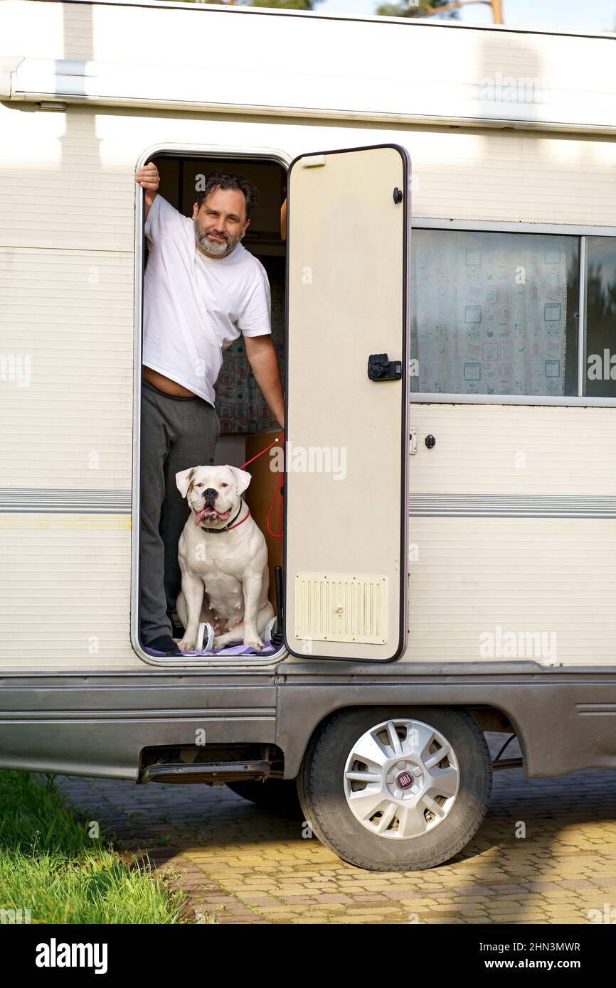 il concetto di viaggiare con un animale domestico. Un uomo con un cane bruldog americano carino razza viaggia in un motorhome. Foto Stock