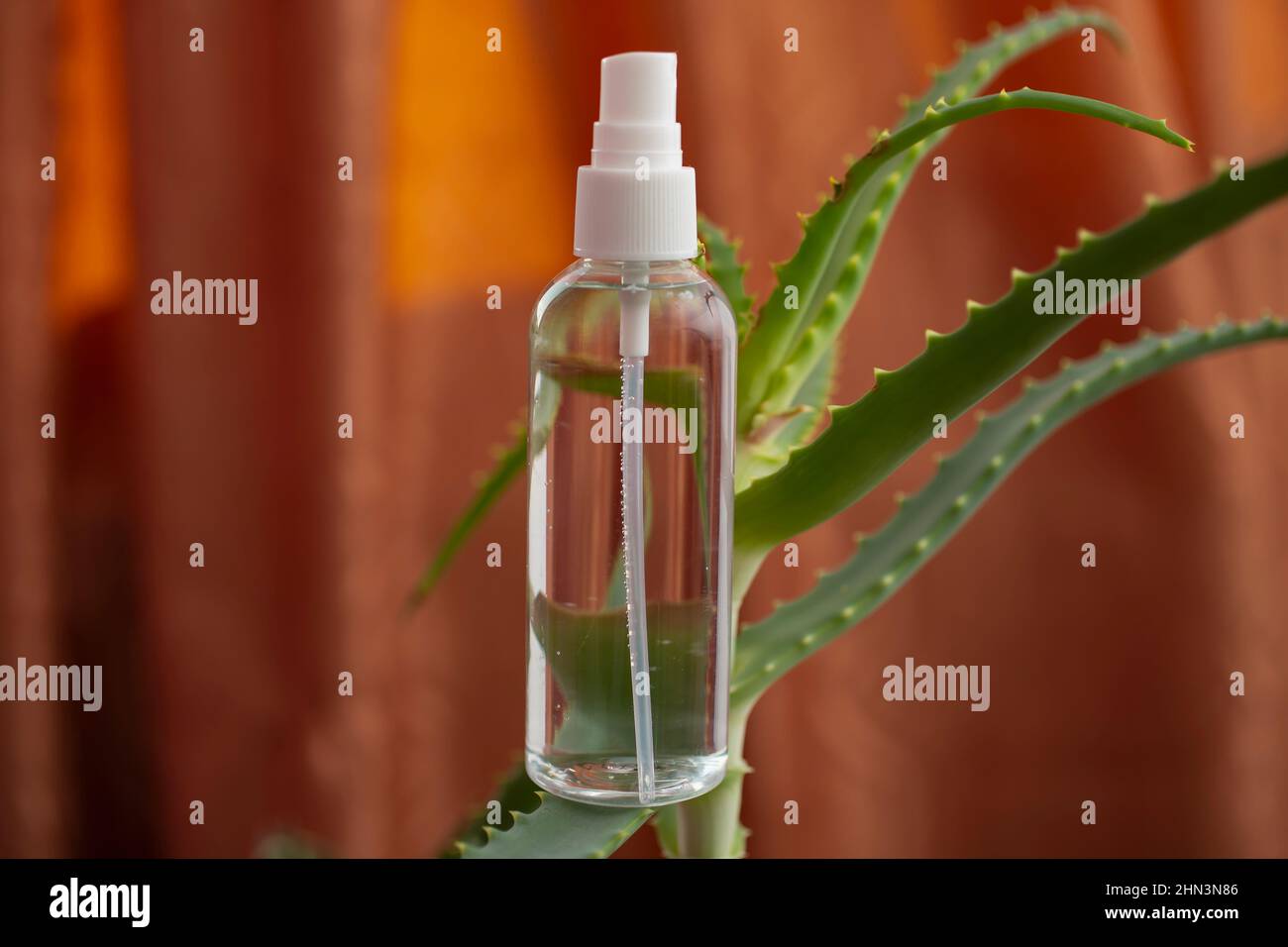 flacone spray igienizzante su una pianta di aloe su sfondo arancione Foto Stock