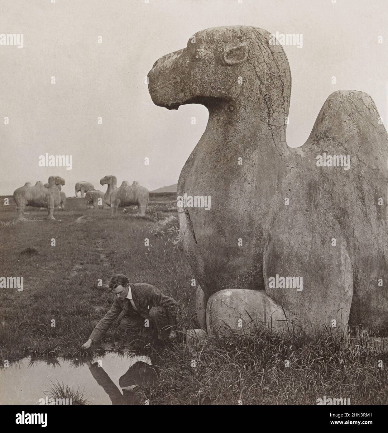 Foto d'epoca del fotografo seduto vicino a gigantesche figure di pietra di cammelli sparsi lungo il viale per le Tombe Ming. Nanking, Cina settentrionale. Decemb Foto Stock