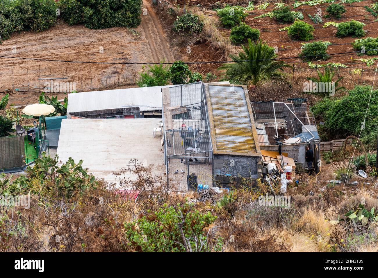 Tin Shack casa in campagna a la Palma, Isole Canarie Foto Stock