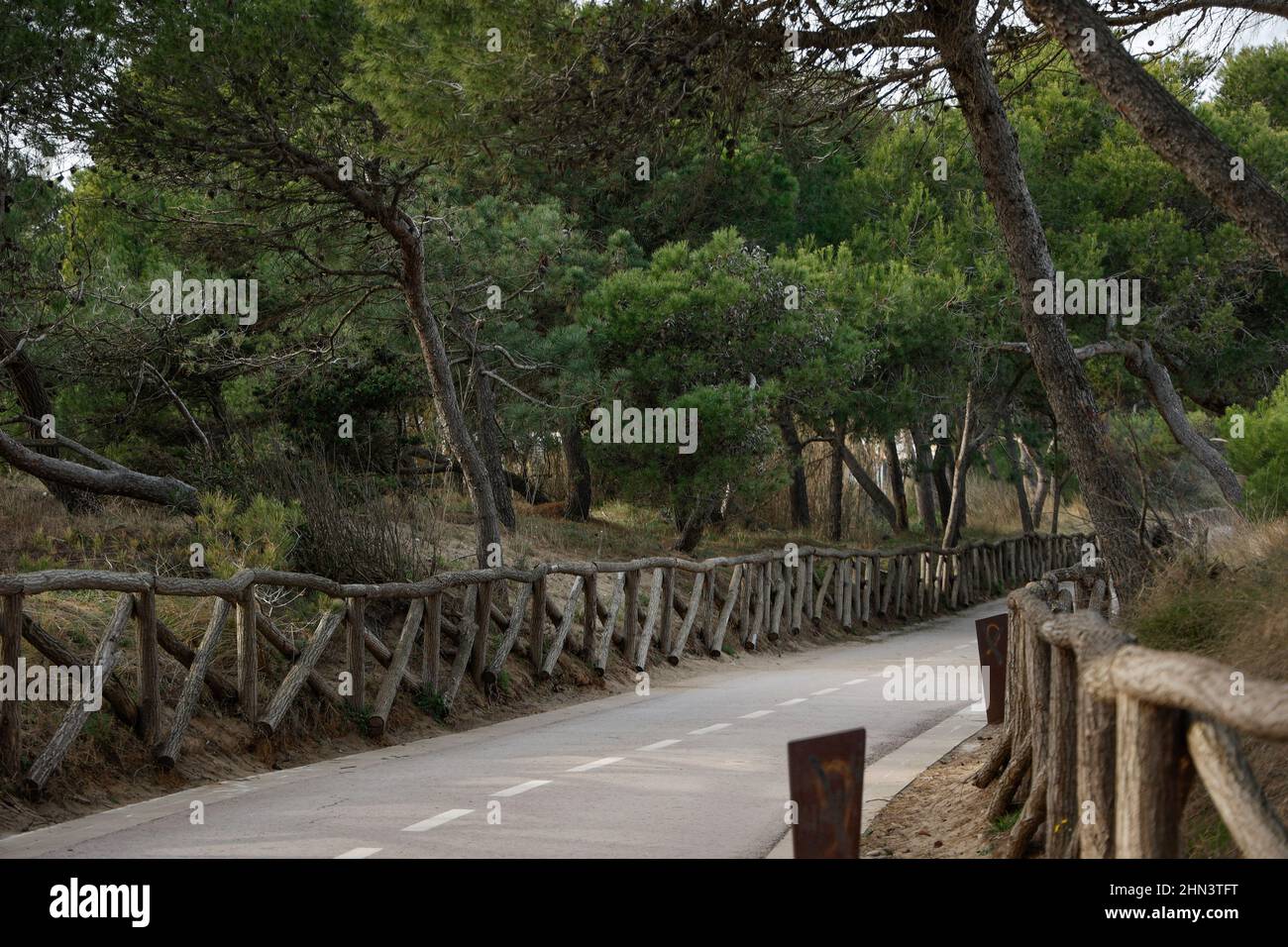 Percorso ciclabile, parte del percorso Pirenexus 360, che costeggia la costa di Empuries, Catalogna, Spagna Foto Stock