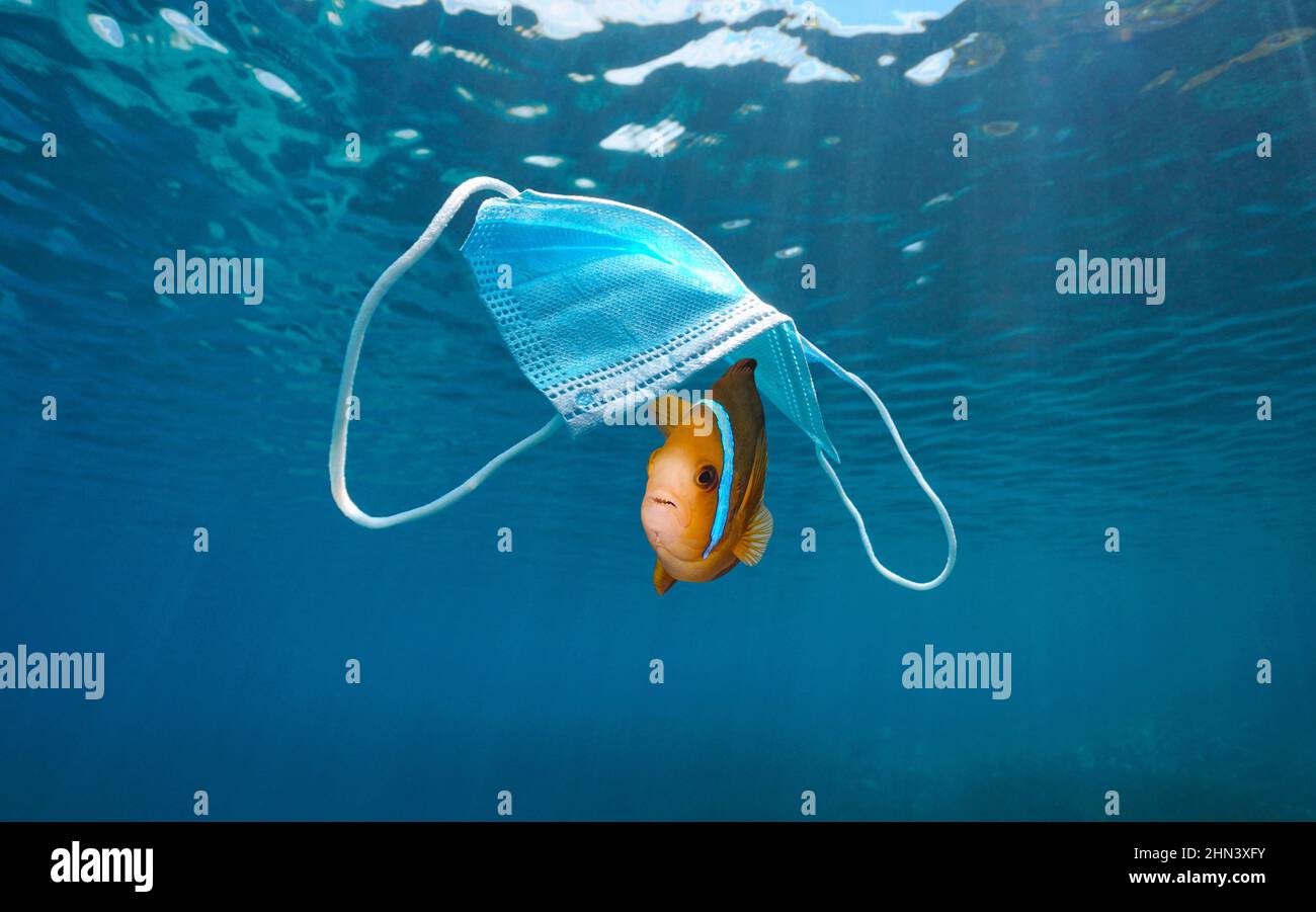 Pesci sotto una maschera chirurgica, inquinamento plastico subacqueo nell'oceano, rifiuti di Coronavirus COVID-19 pandemia Foto Stock