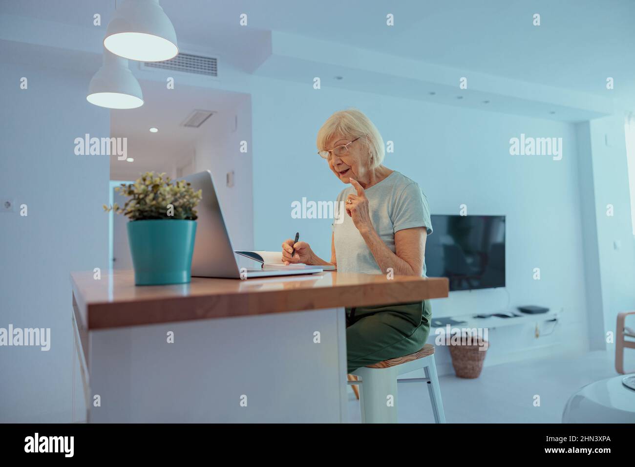 Donna anziana che guarda lo schermo del laptop in ambienti chiusi Foto Stock