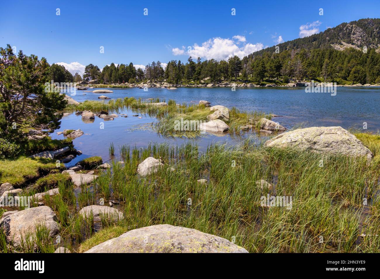 Paesaggio estivo a la Cerdanya, lago di montagna dei Pirenei, Catalogna, Spagna. Foto Stock