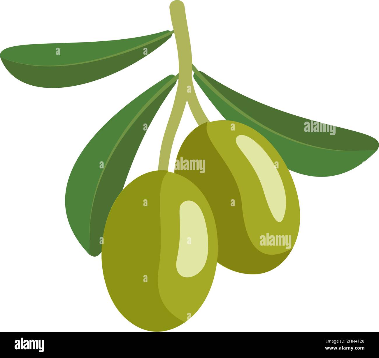 Ramo di olive verdi con frutta e foglie. Cucina greca tradizionale. Illustrazione piatta vettoriale Illustrazione Vettoriale