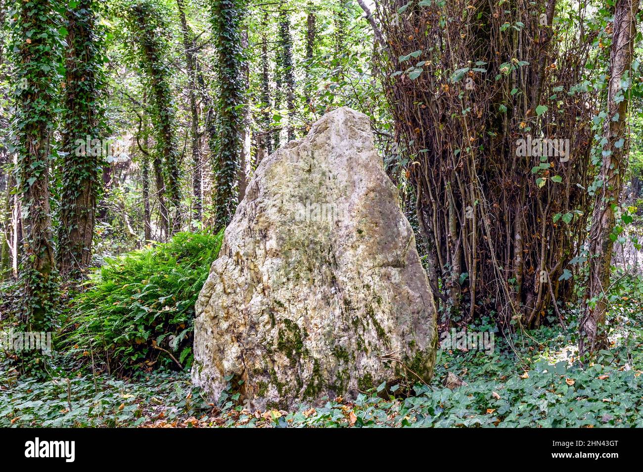 Il Brèche au Diable (taglio del Diavolo) è un taglio leggendario e popolare passeggiata, circondato dalla natura lussureggiante nel dipartimento francese di Calvados. Foto Stock