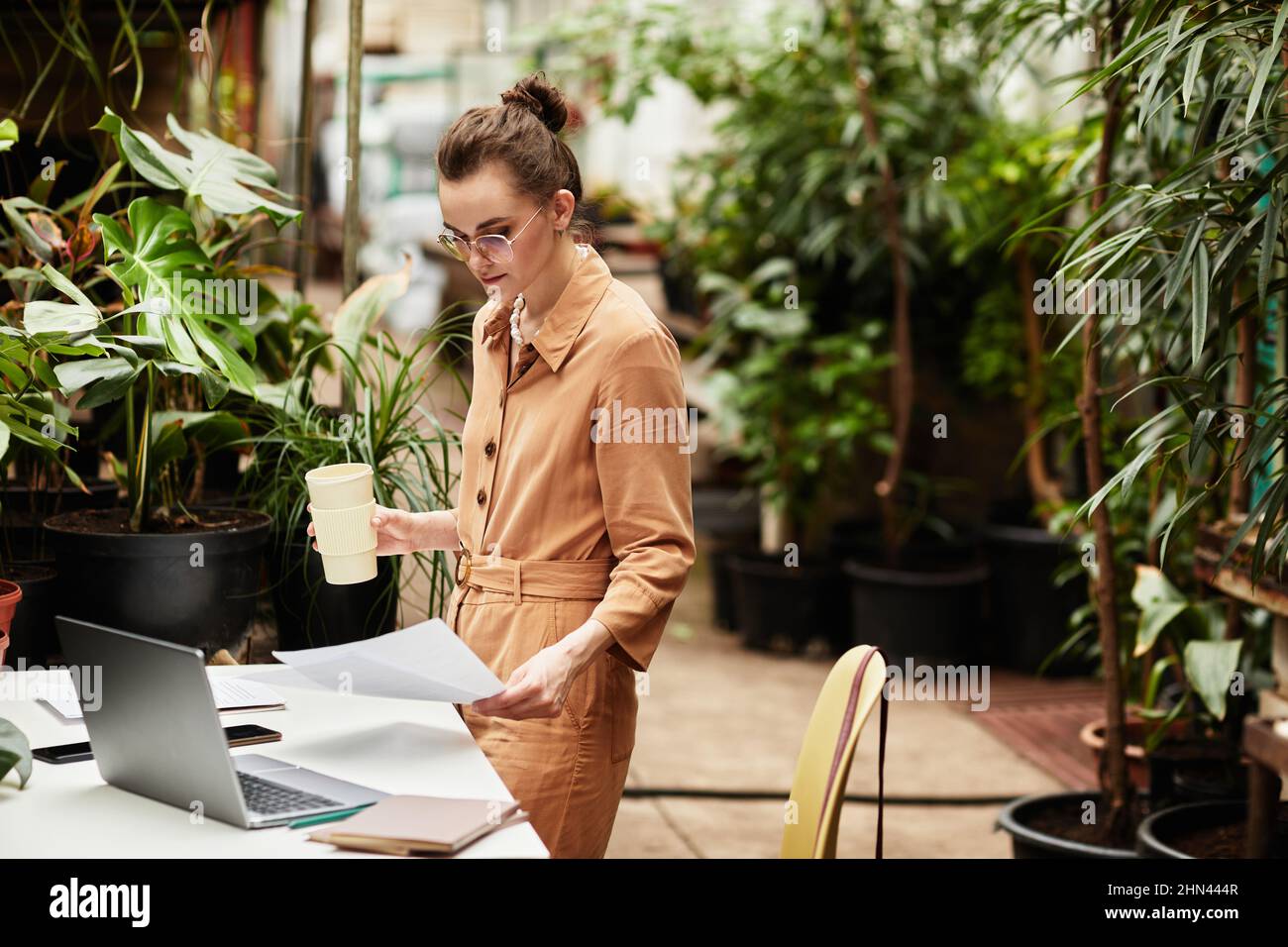 Giovane donna d'affari seria con bevanda che lavora con la documentazione mentre si trova in piedi dalla scrivania di fronte al laptop in orangerie moderna Foto Stock