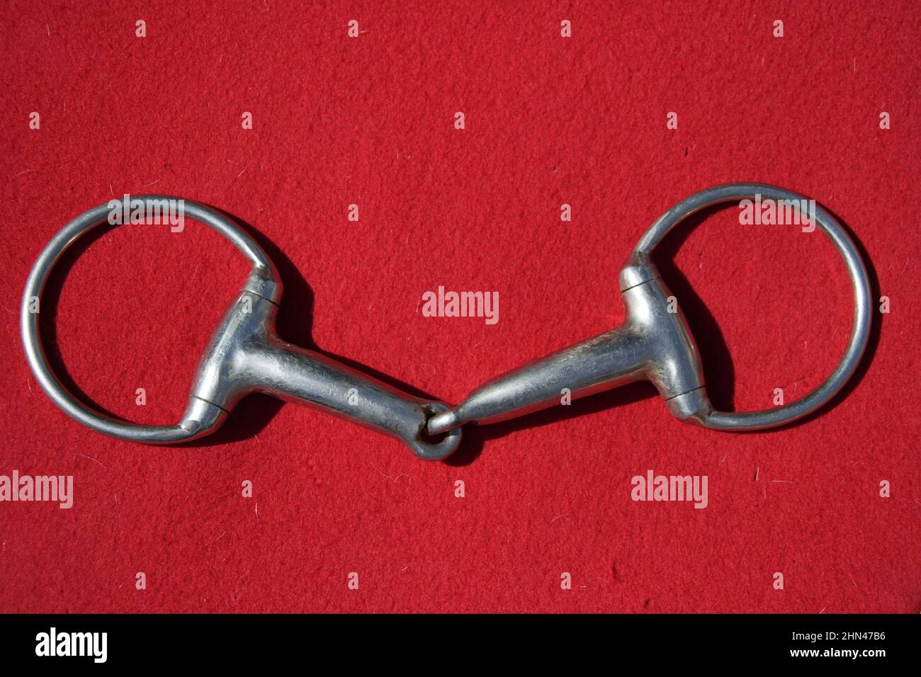 Cavallo domestico. Punta per snaffle Eggbutt. Foto studio su sfondo rosso Foto Stock