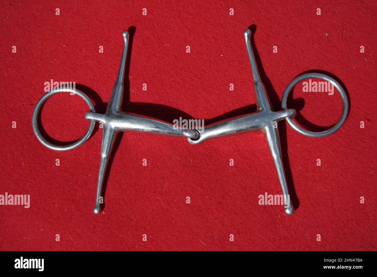 Cavallo domestico. Punta a snaffle con guance. Foto studio su sfondo rosso Foto Stock