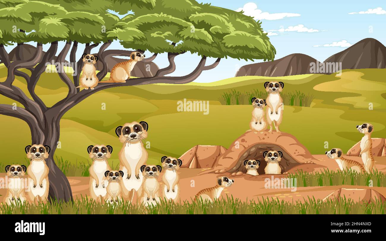 La famiglia Meerkat vive nella savana illustrazione della foresta Illustrazione Vettoriale