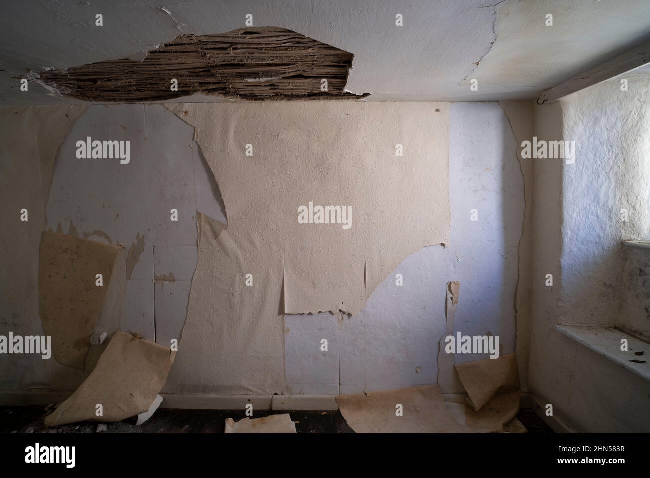 Interno di casa deserta e dilapidata nel Devon Sud Foto Stock