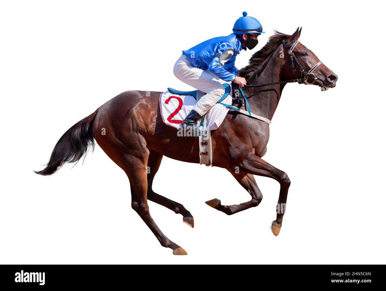 Jockey da corsa a cavallo. Sport. Campione. Pista. Equestre. Derby. Isolato su sfondo bianco Foto Stock