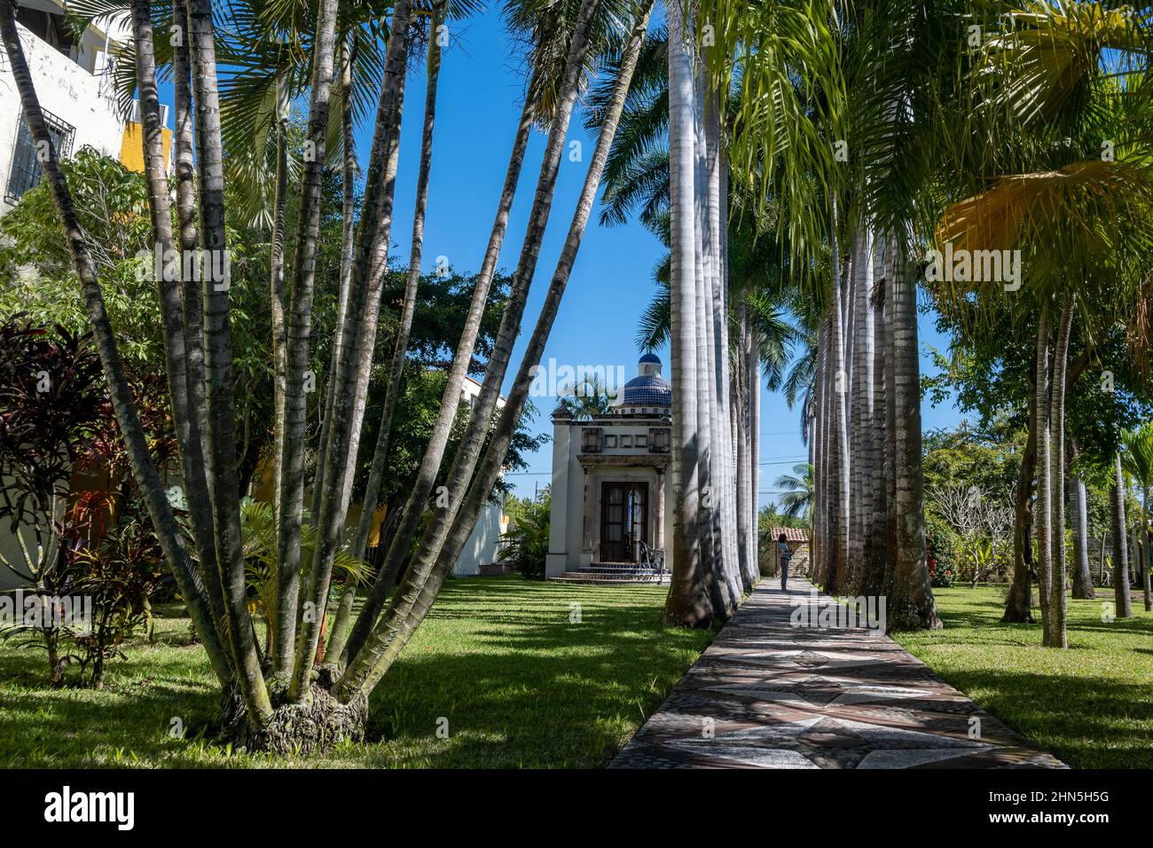 Palm Trees linea sentiero a piedi in un resort a San Blas, Nayarit, Messico. Foto Stock
