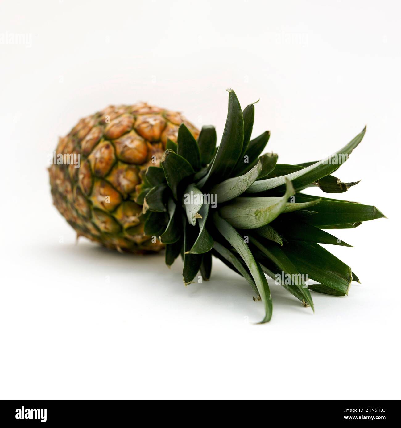 Ananas fresco appoggiato su uno sfondo liscio che ne mostra la consistenza e i colori vivaci Foto Stock