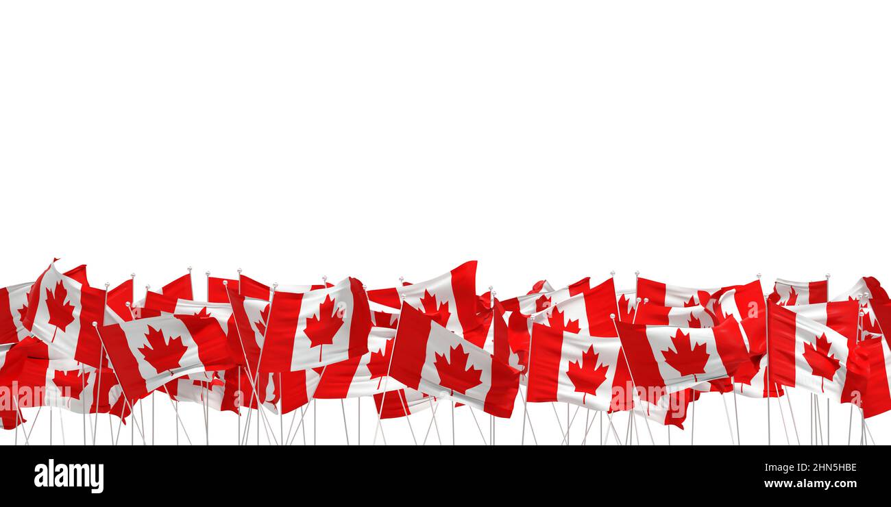 Molte bandiere del Canada su sfondo bianco - 3D rendering Foto Stock