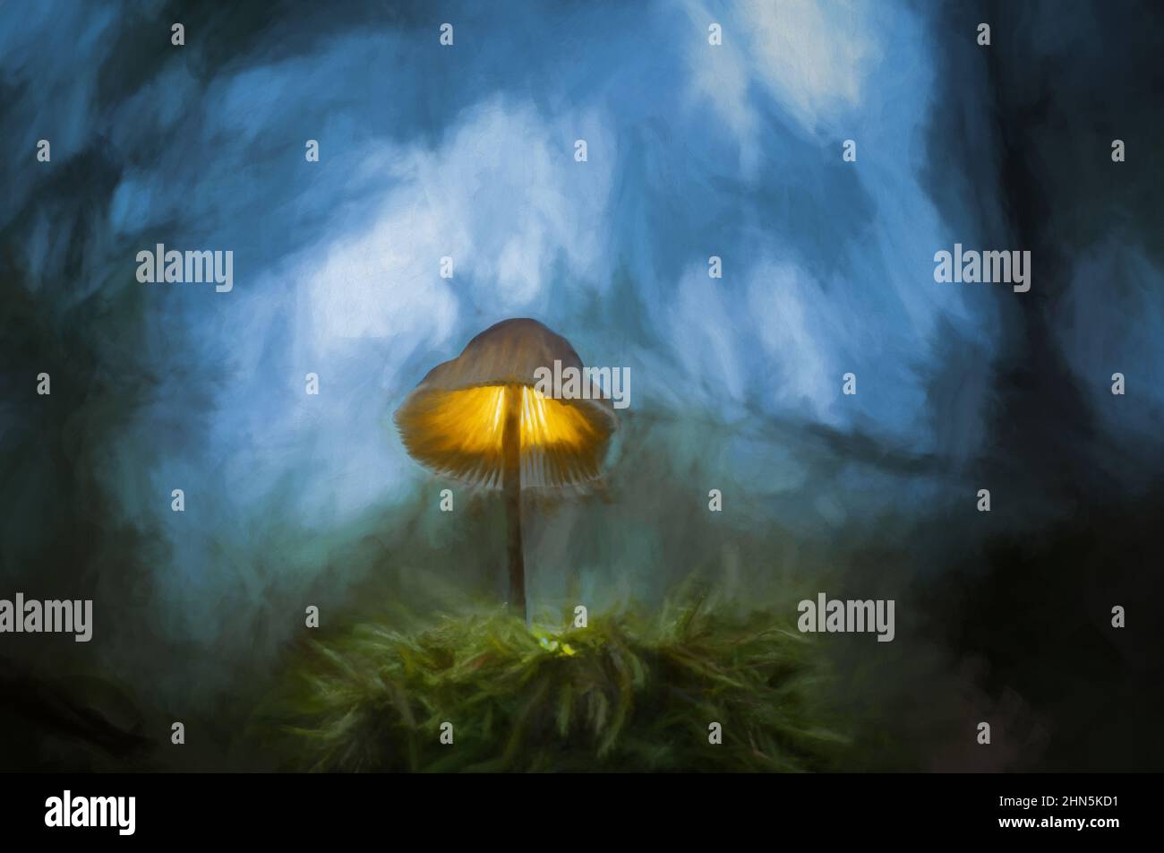 Pittura digitale di funghi fantasia che risplendente in un oscuro bosco magico incantato. Foto Stock