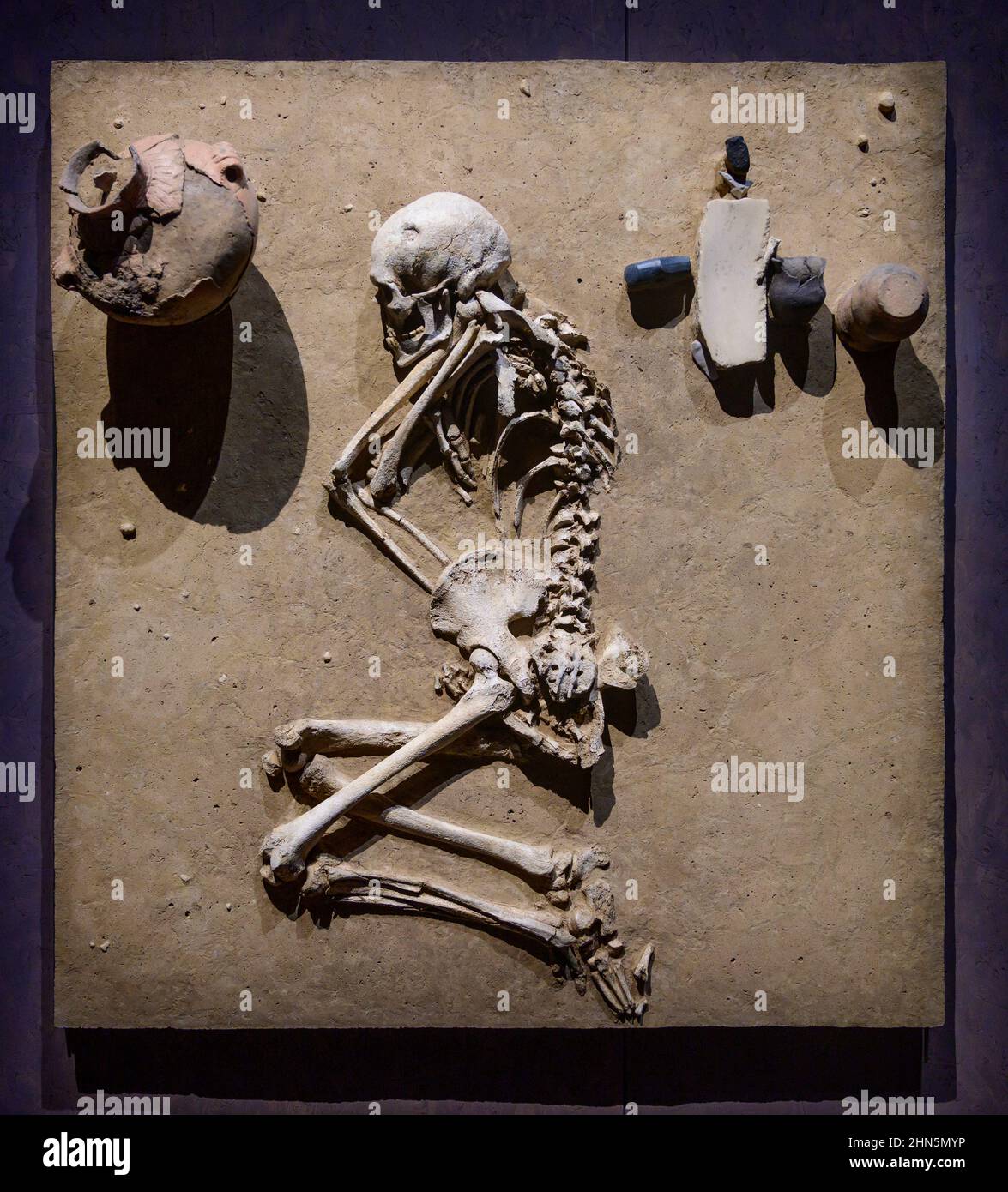 Il British Museum di Londra, Regno Unito. 14 febbraio 2022. The World of Stonehenge, la prima grande mostra britannica su Stonehenge e la più grande mostra del British Museum degli ultimi tempi, dal 17 febbraio al 17 luglio 2022. Immagine: Resti umani, Wennungen, Germania 2575-2450 a.C. Credit: Malcolm Park/Alamy Foto Stock