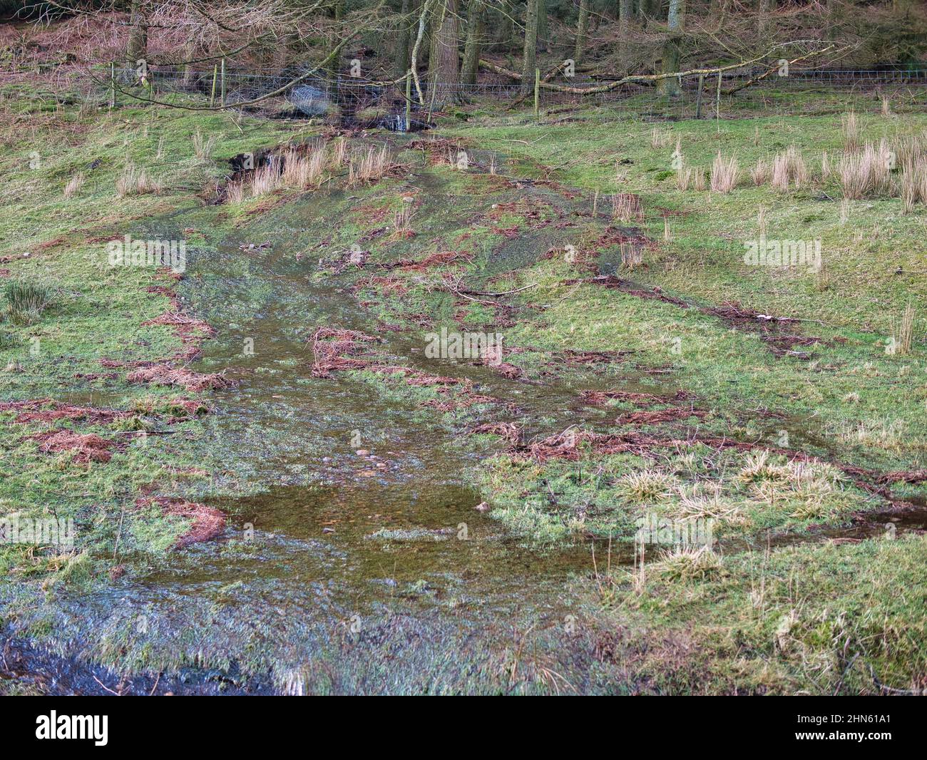 Acqua che scorre su terra satura dopo pioggia pesante. Preso in una zona rurale dell'Inghilterra del nord. Foto Stock